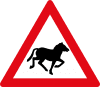 warning horses ahead